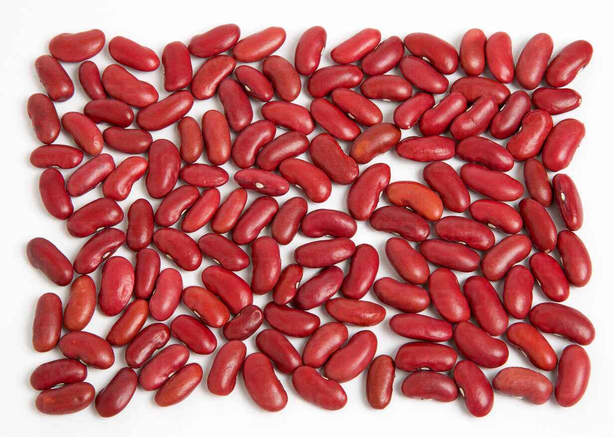 Kidney Beans exporter in India